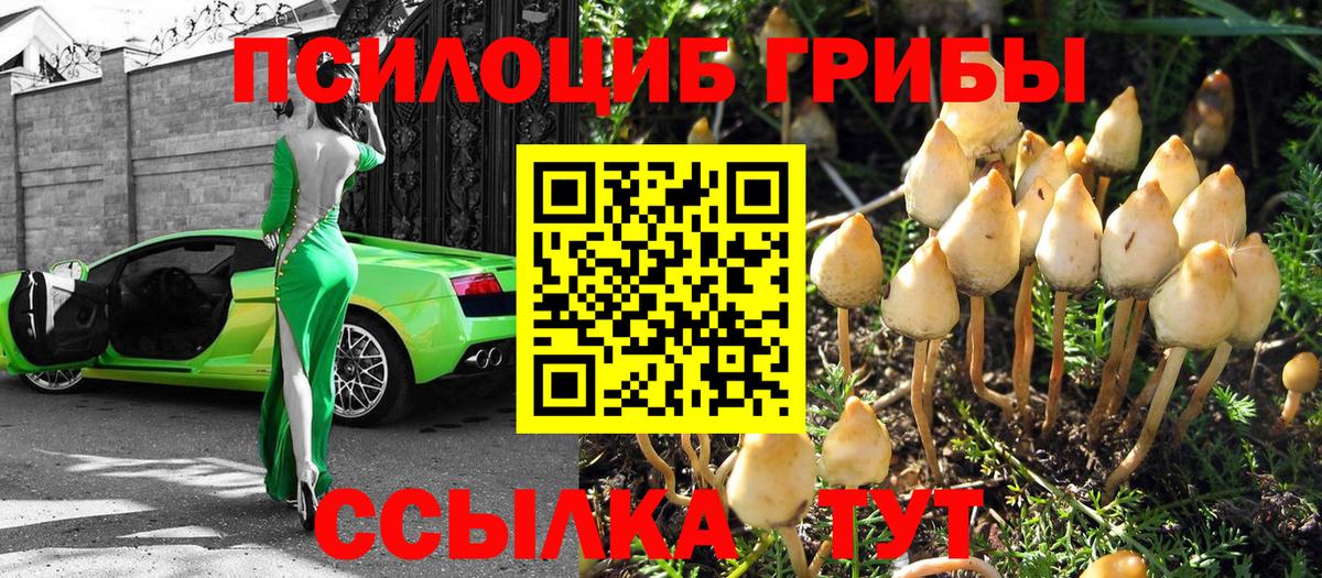 Галлюциногенные грибы Cubensis  Вход с VPN  Сухой Лог  Галлюциногенные грибы MAGIC MUSHROOMS 