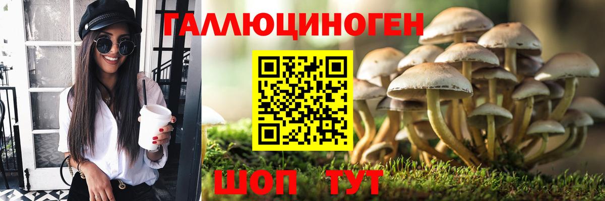 Галлюциногенные грибы мицелий Сухой Лог
